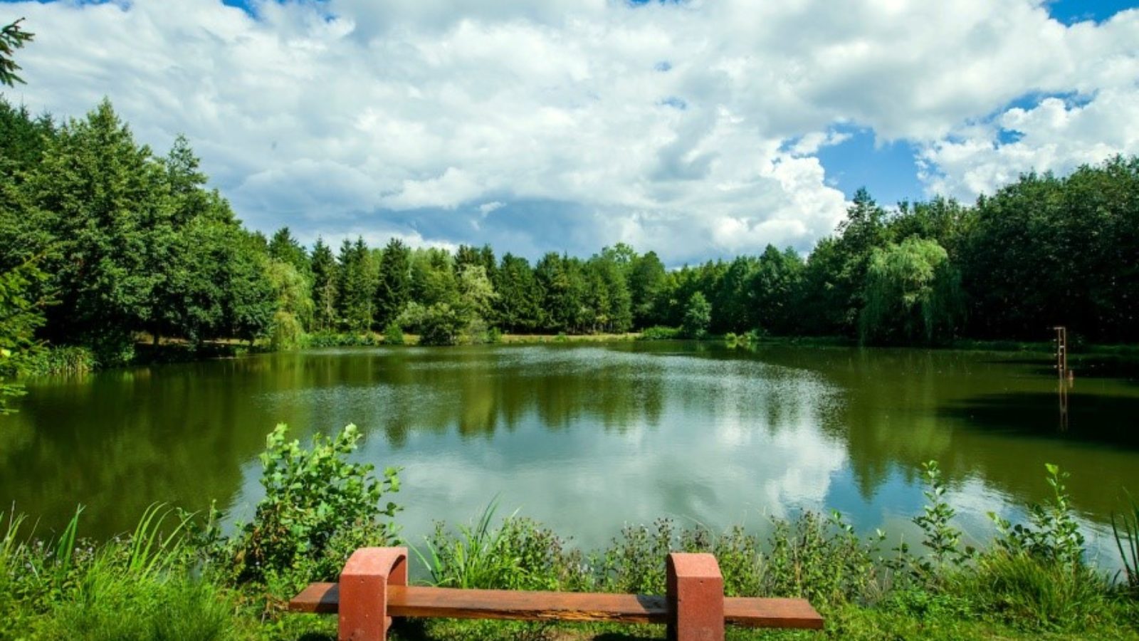 Les étangs du moulin d'Harcy